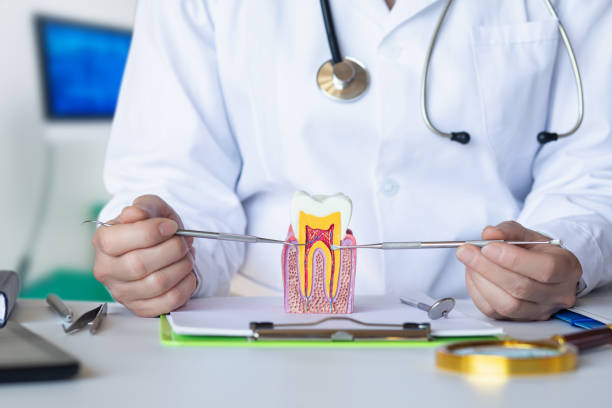 Best Emergency Dental Extractions in Welsh, LA